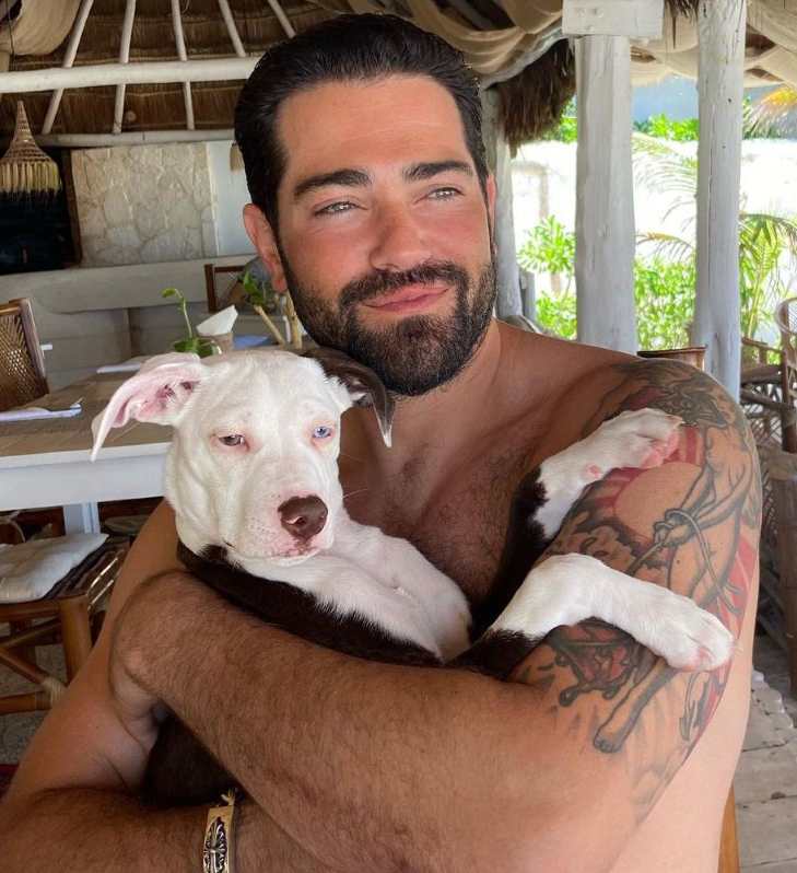 jesse-metcalfe-biography-age-girlfriend-hallmark-movies-mrdustbin