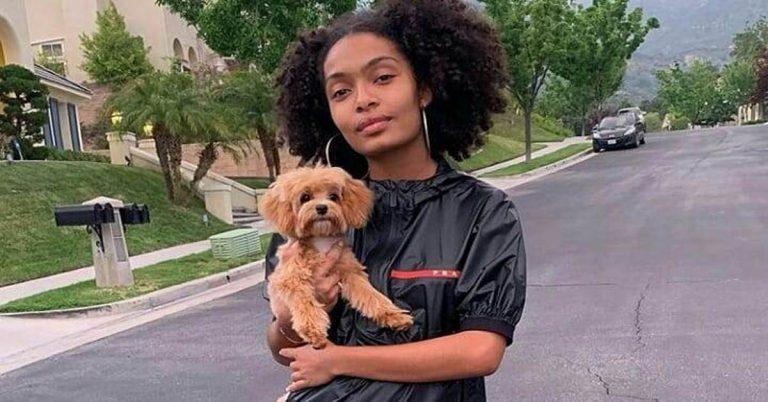 Yara Shahidi Biography (Age, Height, Boyfriend & More)
