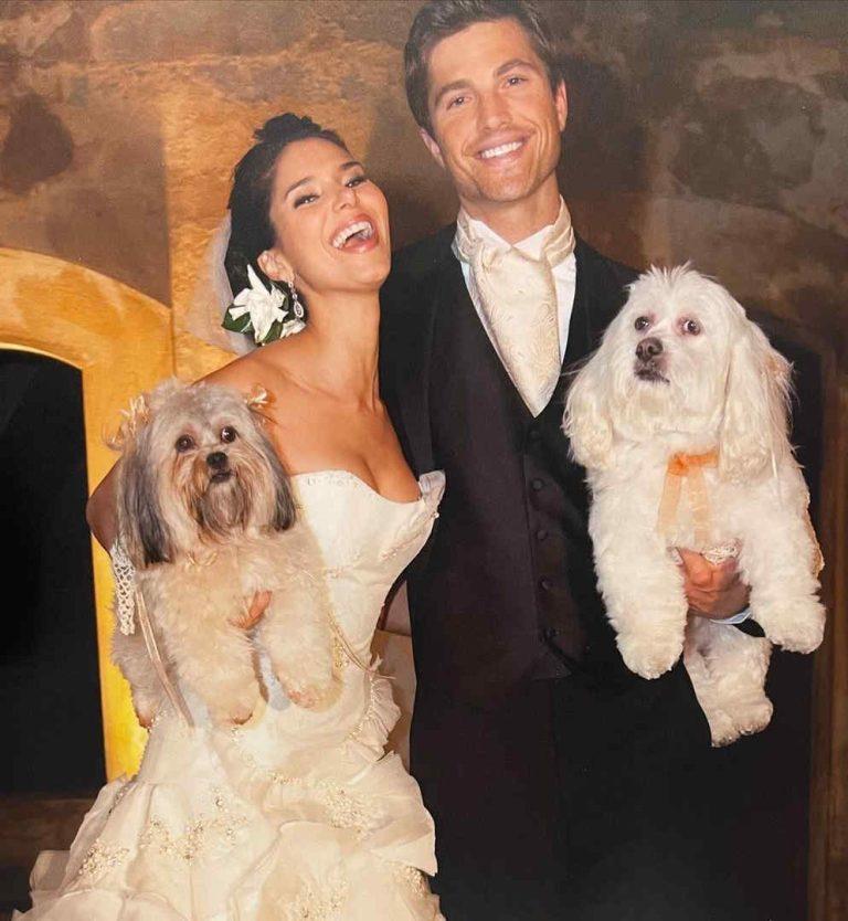 Roselyn Sánchez Biography, Age, Height & Husband - mrDustBin